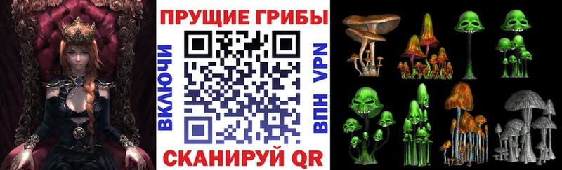 ОМГ ОМГ ONION  Алапаевск  Галлюциногенные грибы Cubensis 